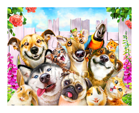 Showpiece 500 Piece Puzzles