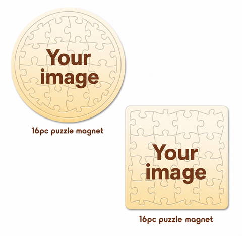 Puzzle Magnet (16pc)