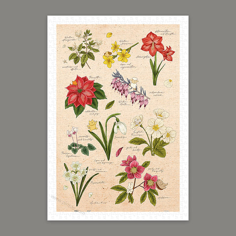 Pintoo H3896 Winter Flowers - 600 Piece Jigsaw Puzzle by Mandie