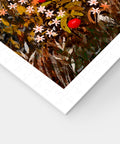 Pintoo H4081 Autumn Camping - 1200 Piece Jigsaw Puzzle by Laivi Poder