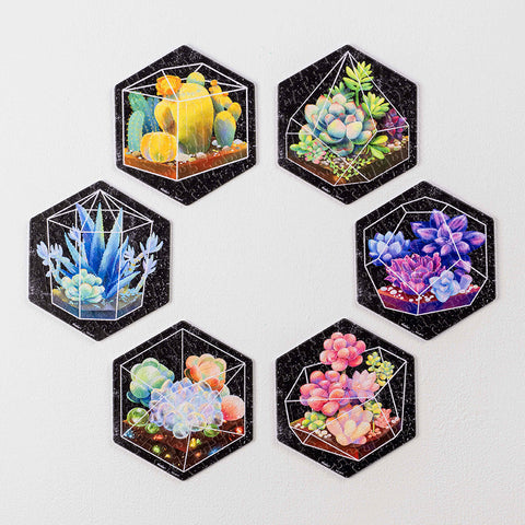 Pintoo HX1163 Succulent in Pocket - Wall Tile Puzzle Set Jigsaw Puzzle
