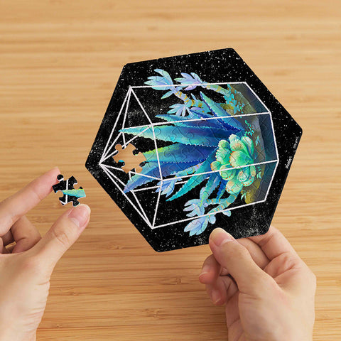 Pintoo HX1163 Succulent in Pocket - Wall Tile Puzzle Set Jigsaw Puzzle