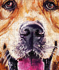 PieceRelax - Golden Retriever - PieceClicks 756 Pieces [U1100] - Frank Harris