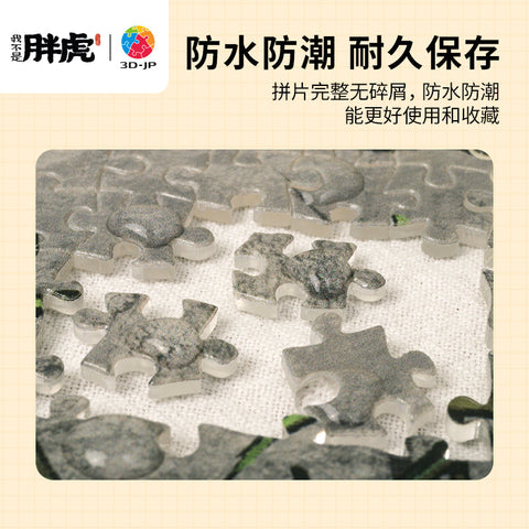 Pintoo YC1005 What are you looking at? by I am not a fat tiger - A6 Book Cover